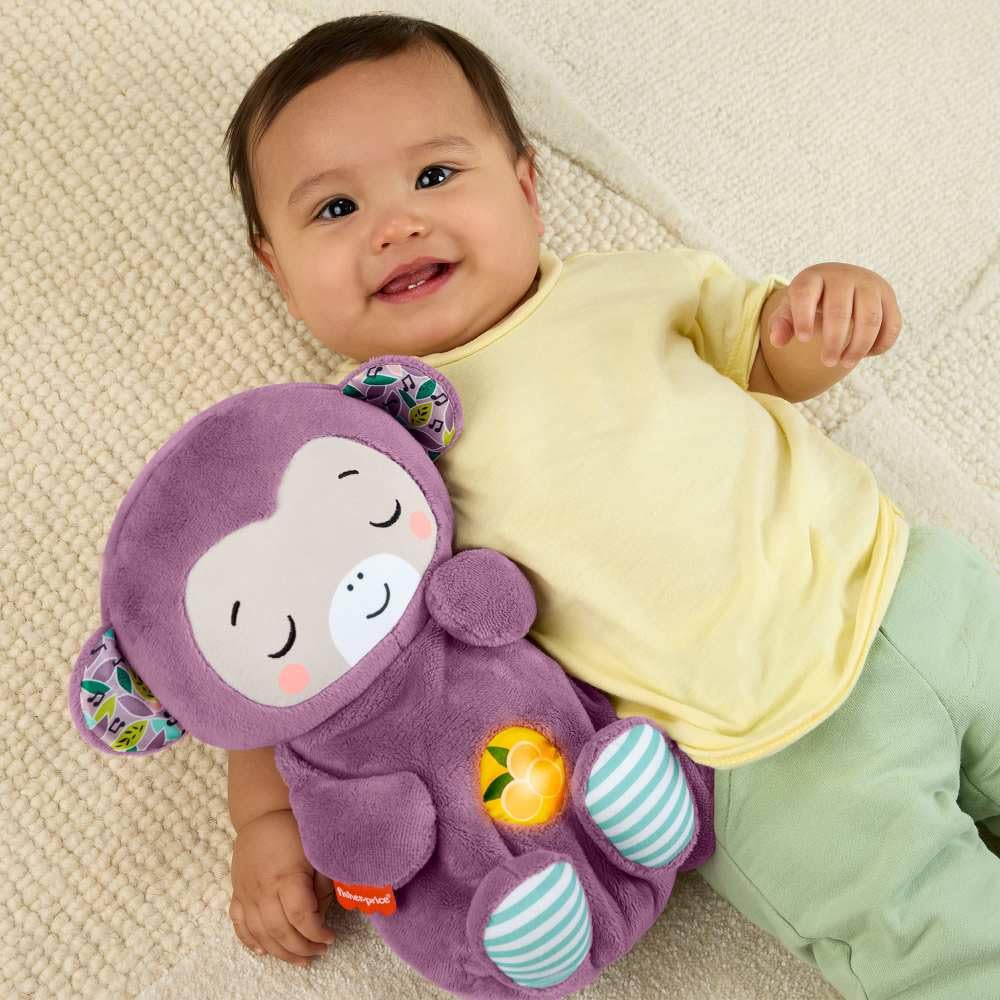 Fisher-Price Schlummer Häschen - tragbares Plüschspielzeug mit Musik und Licht für Neugeborene, Baby Spielzeug ab Geburt, Babyparty und Neugeborenen Geschenk, HXG97