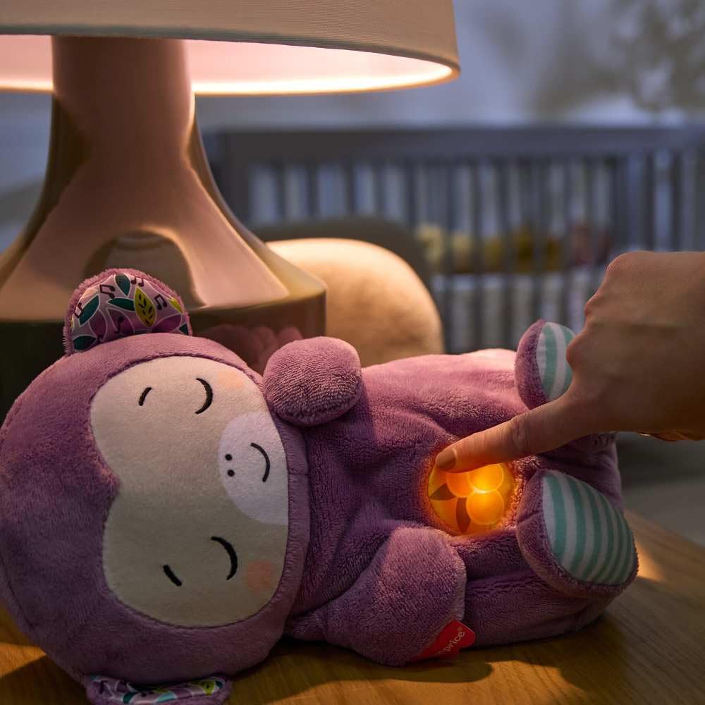 Fisher-Price Schlummer Häschen - tragbares Plüschspielzeug mit Musik und Licht für Neugeborene, Baby Spielzeug ab Geburt, Babyparty und Neugeborenen Geschenk, HXG97